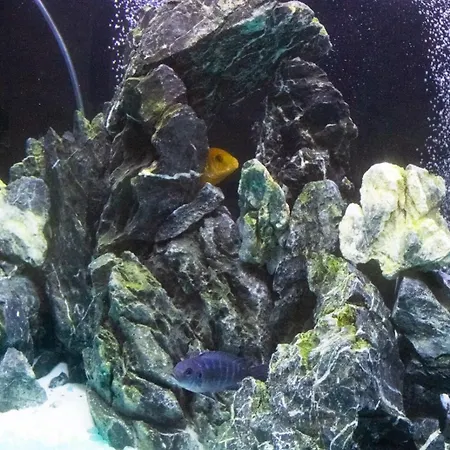 Apartman Spartan